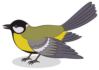 Realistic Cartoon Bird Titmouse, Isolated on White Background. Vector