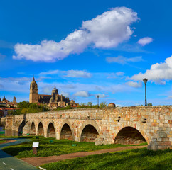 Fototapeta premium Salamanca skyline and roman bridge on Tormes
