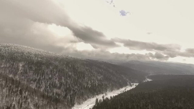 flight over snowy spruce forest in winter
