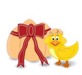 baby duck hatching and standing with other eggs