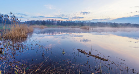 Misty morning at the lake