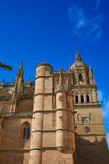 Fototapeta premium Salamanca Cathedral facade in Spain