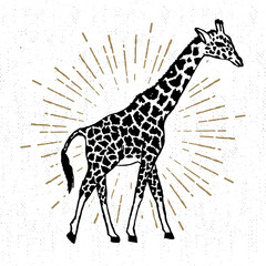 Hand drawn icon with textured giraffe vector illustration © SlothAstronaut