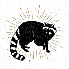 Hand drawn icon with textured raccoon vector illustration © SlothAstronaut