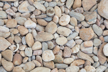 Round sea rock background and texture