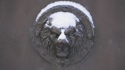 Metal fence, metal texture, colorful metal background