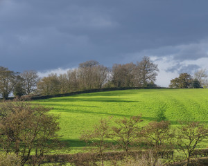 Fototapeta na wymiar generic typical english countryside