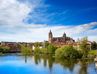 Fototapeta na wymiar Salamanca skyline with Tormes river Spain