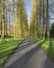 Obraz premium generic typical english countryside