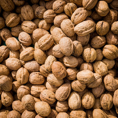 Walnut background. walnut as a texture