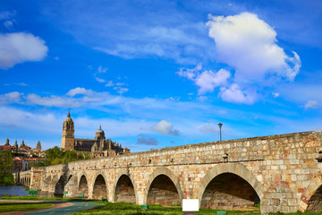 Fototapeta na wymiar Salamanca skyline and roman bridge on Tormes