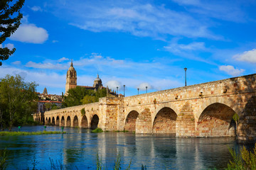 Salamanca skyline and roman bridge on Tormes