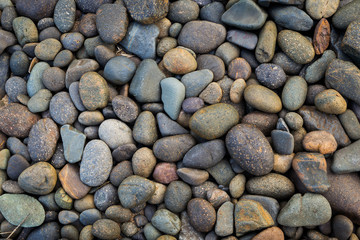 Natural colorful stone on the beach, outdoor day light