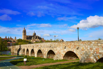 Fototapeta premium Salamanca skyline and roman bridge on Tormes