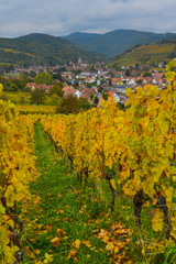 View of Andlau village and church in autumn, Alsace, France