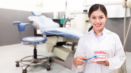 dentist showing toothbrush and dental model in dental clinic