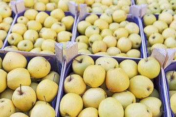 Apple showcase at the farmers Market
