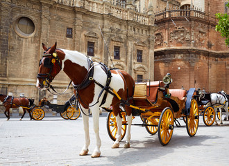 Fototapeta na wymiar Seville horse carriages in Cathedral of Sevilla