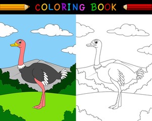 Cartoon ostrich coloring book