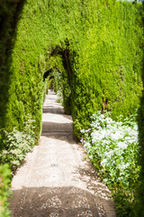Details in the gardens of the Generalife in Alhambra. Granada, S