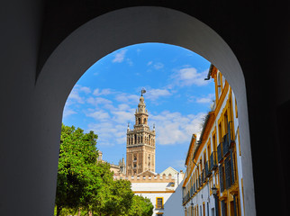 Naklejka premium Seville cathedral Giralda tower from Alcazar