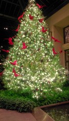 Fototapeta na wymiar Cardinal Christmas Tree
