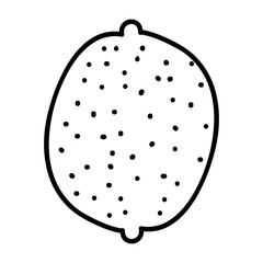 lemon or lime fruit icon image vector illustration design 