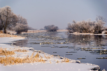 Biebrza zimą