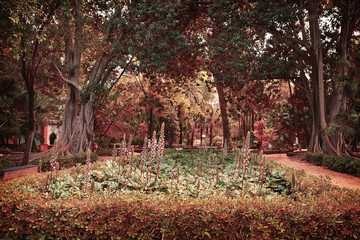 Fototapeta na wymiar seville maria luisa park gardens spain