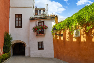 Fototapeta na wymiar Seville Juderia barrio Andalusia Sevilla Spain