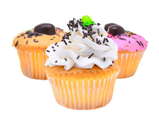 colorful of mini tasty cupcake isolated on white background