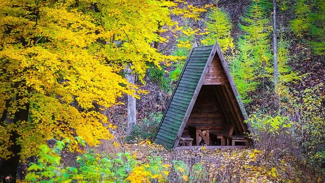 Schutzh&uuml;tte im NP Harz, Cinemagraph