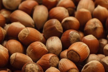 hazelnuts photo, hazelnuts background, raw nuts, nuts shell, hazelnuts pile, hazelnuts for sale, hazelnuts macro