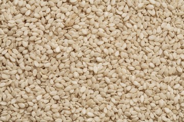 sesame seed background, sesame photo, peeled sesame, white sesame seed