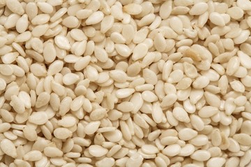 sesame seed background, sesame photo, peeled sesame, white sesame seed