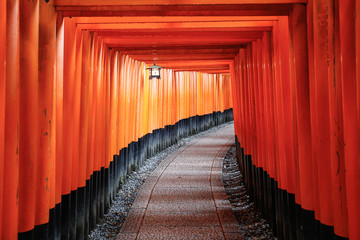 Fushimi Inari