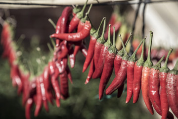 Hanged fresh red pepers to dry