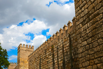 Seville Real Alcazar fortress Sevilla Spain