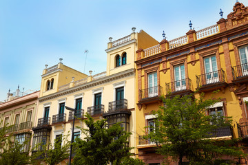 Fototapeta na wymiar Seville San Fernando street in Andalusia
