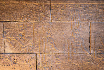 Real Hieroglyphic carvings on the walls of an ancient egyptian templ