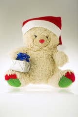 Teddy bear with a gift.