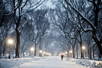 Deurstickers Central Park Winter Central Park 