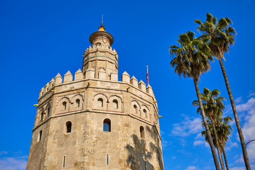 Fototapeta na wymiar Seville Torre del Oro tower in Sevilla Spain
