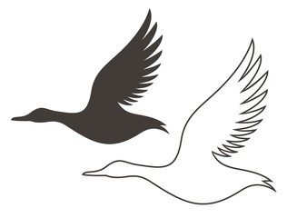 Duck. Outline. Silhouette