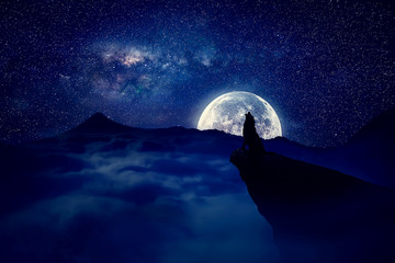 Het eenzame wolfssilhouet huilt op een klip over de achtergrond van de volle maannacht. Mysterieuze scène weerwolf halloween eng uitzicht.