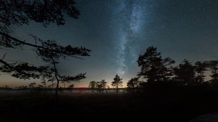 Obraz na płótnie Canvas Milky way over swampland in germany