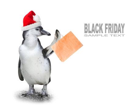 Funny penguin with santa's cap and shopping bag going to supermarket in Black Friday for low cost shopping.