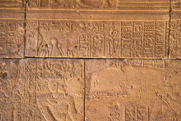 Real Hieroglyphic carvings on the walls of an ancient egyptian templ
