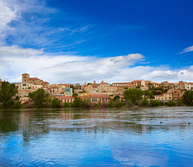 Fototapeta na wymiar Zamora skyline and duero river in Spain