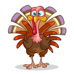 Cartoon Thanksgiving turkey isolated on white. Vector